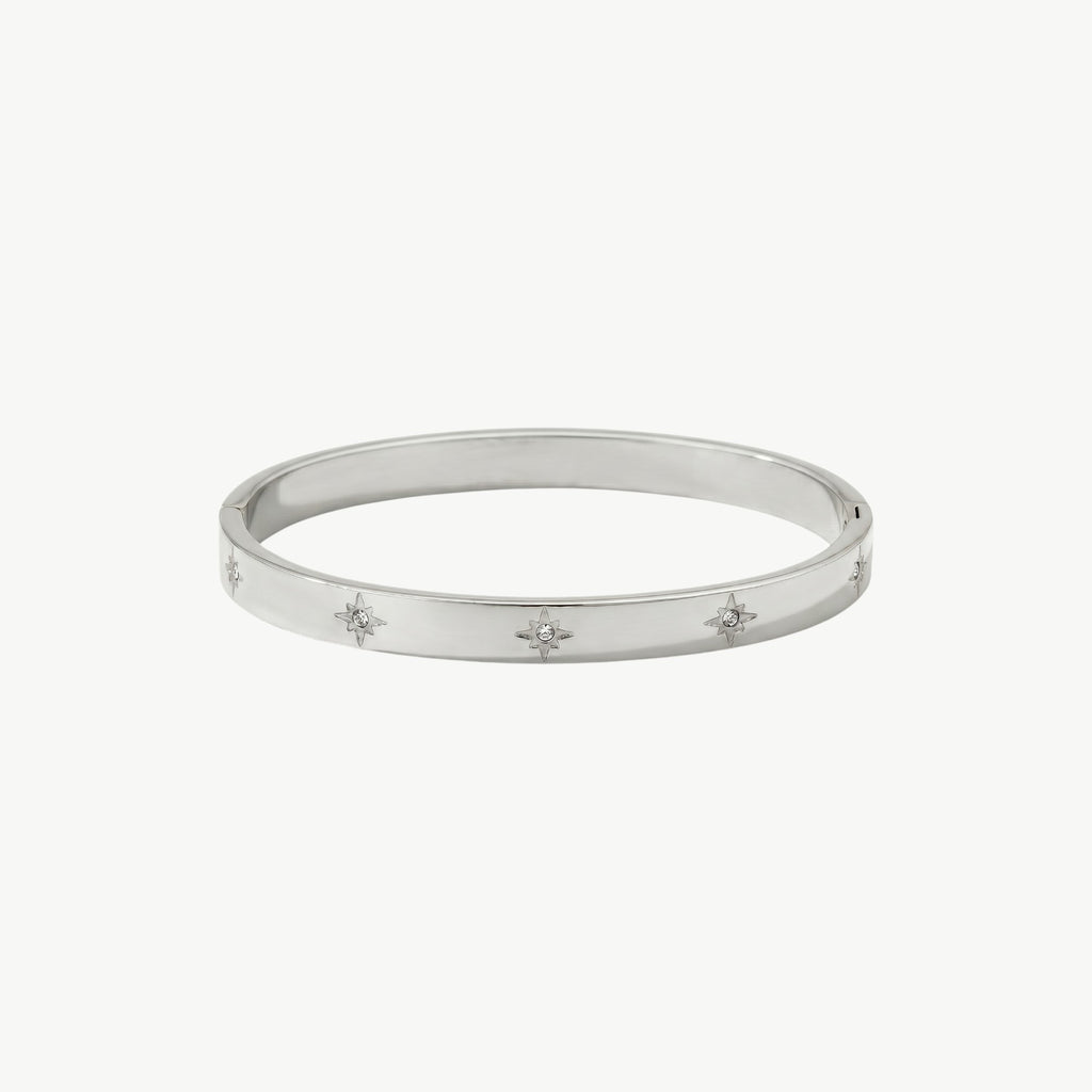 amethyst & sable luma astra bangle in silver